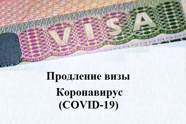 Продление иностранцам. Продление визы. Продление визы РФ. Визы в указе президента. Продлевая визу.